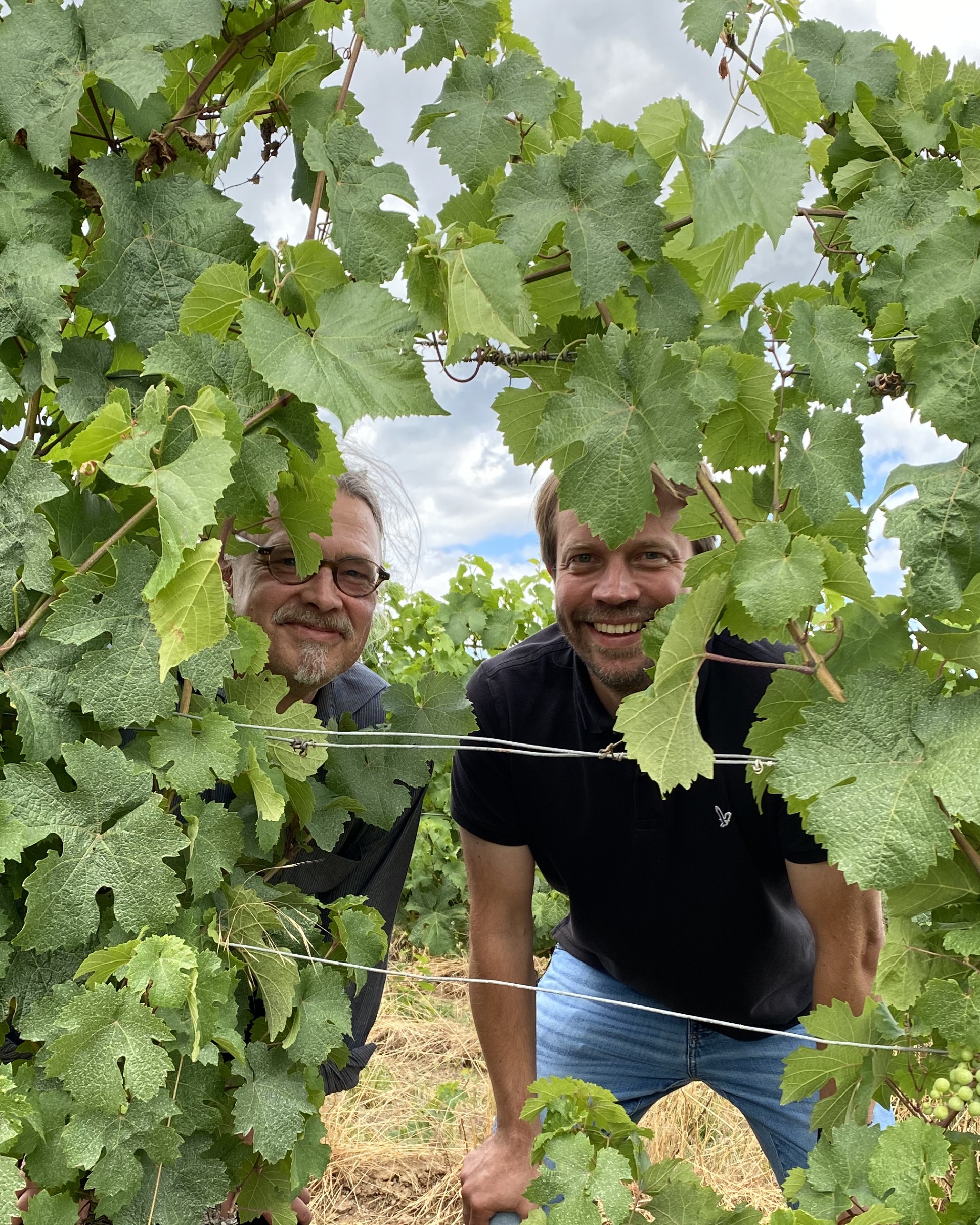 Michael Stolzke und Tobias Treppenhauer im Weinberg