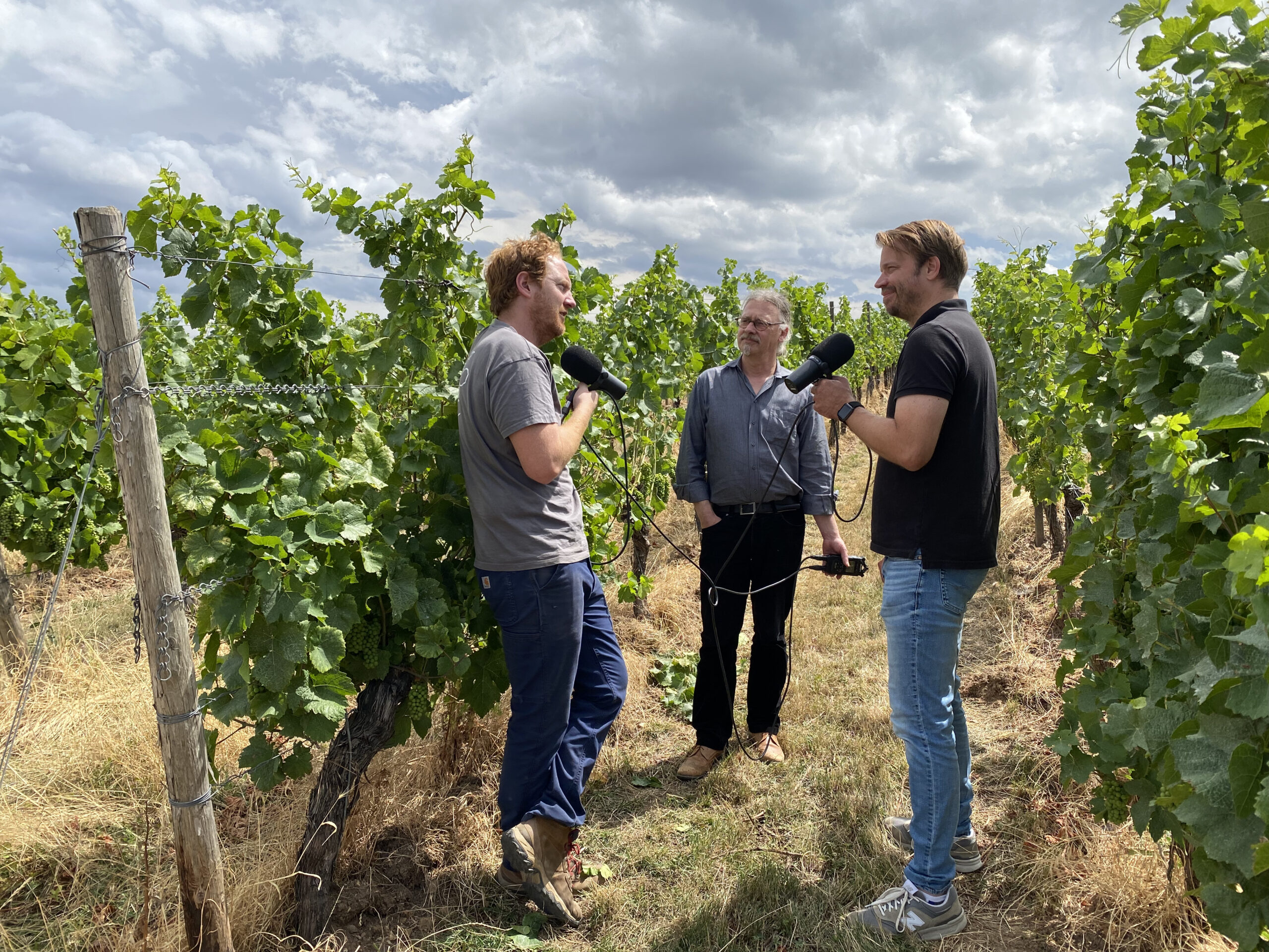 Michael Stolzke und Tobias Treppenhauer bei einer Podcastaufnahme im Weinberg